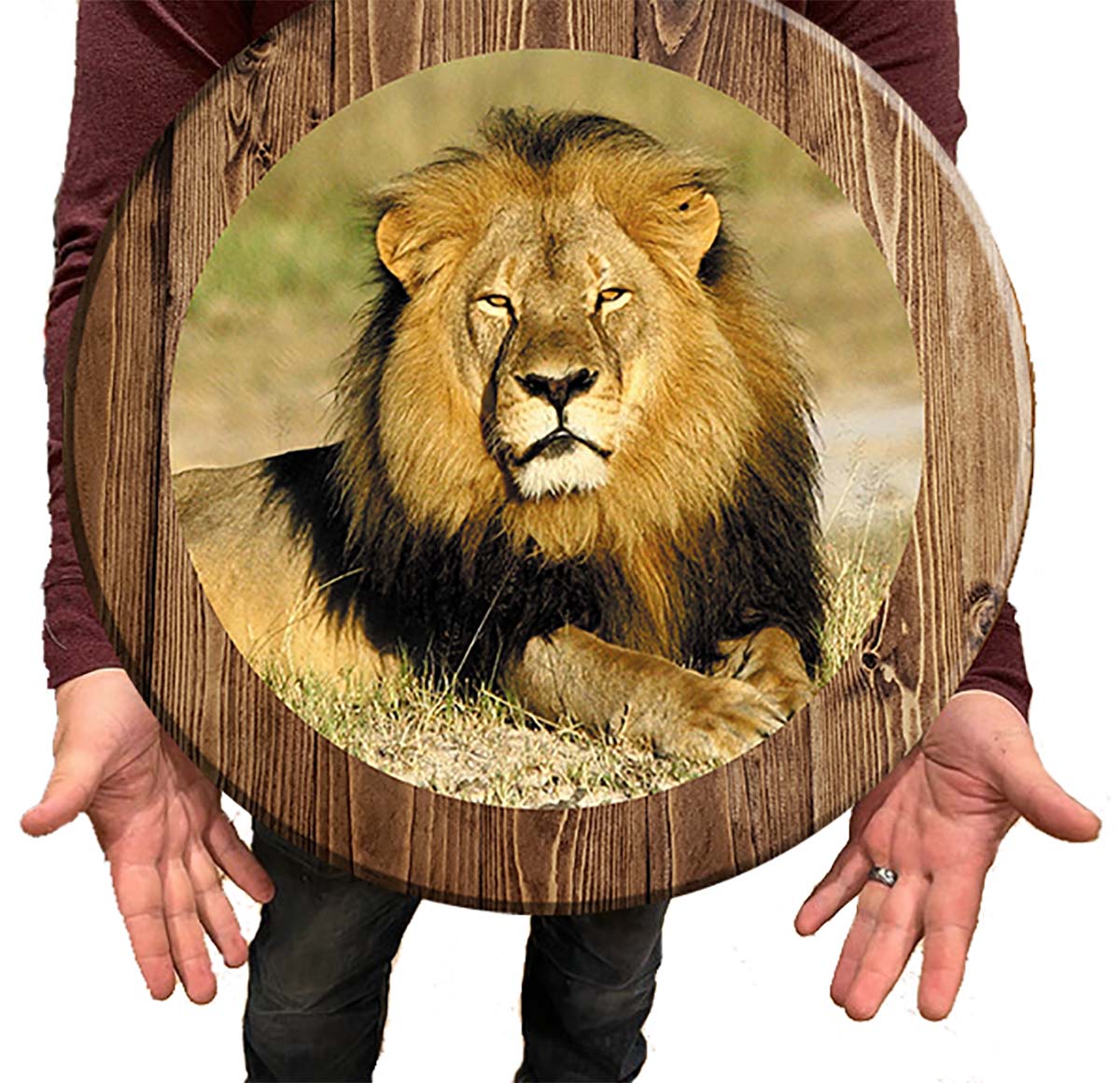 Bar Sign African Lion Pub Sign 18 Inch Bar Man Cave Signs