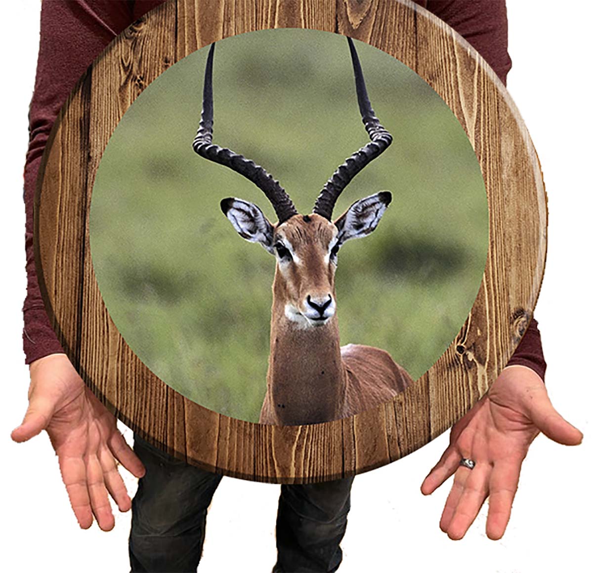 Bar Sign Golden Antelope Pub Sign 18 Inch Bar Man Cave Signs ...