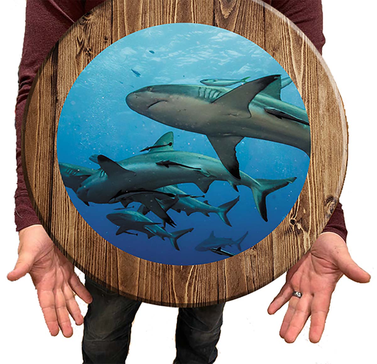 Bar Sign Great White Sharks Fishing Shark Sign 18 Inch Bar Man Cave Signs
