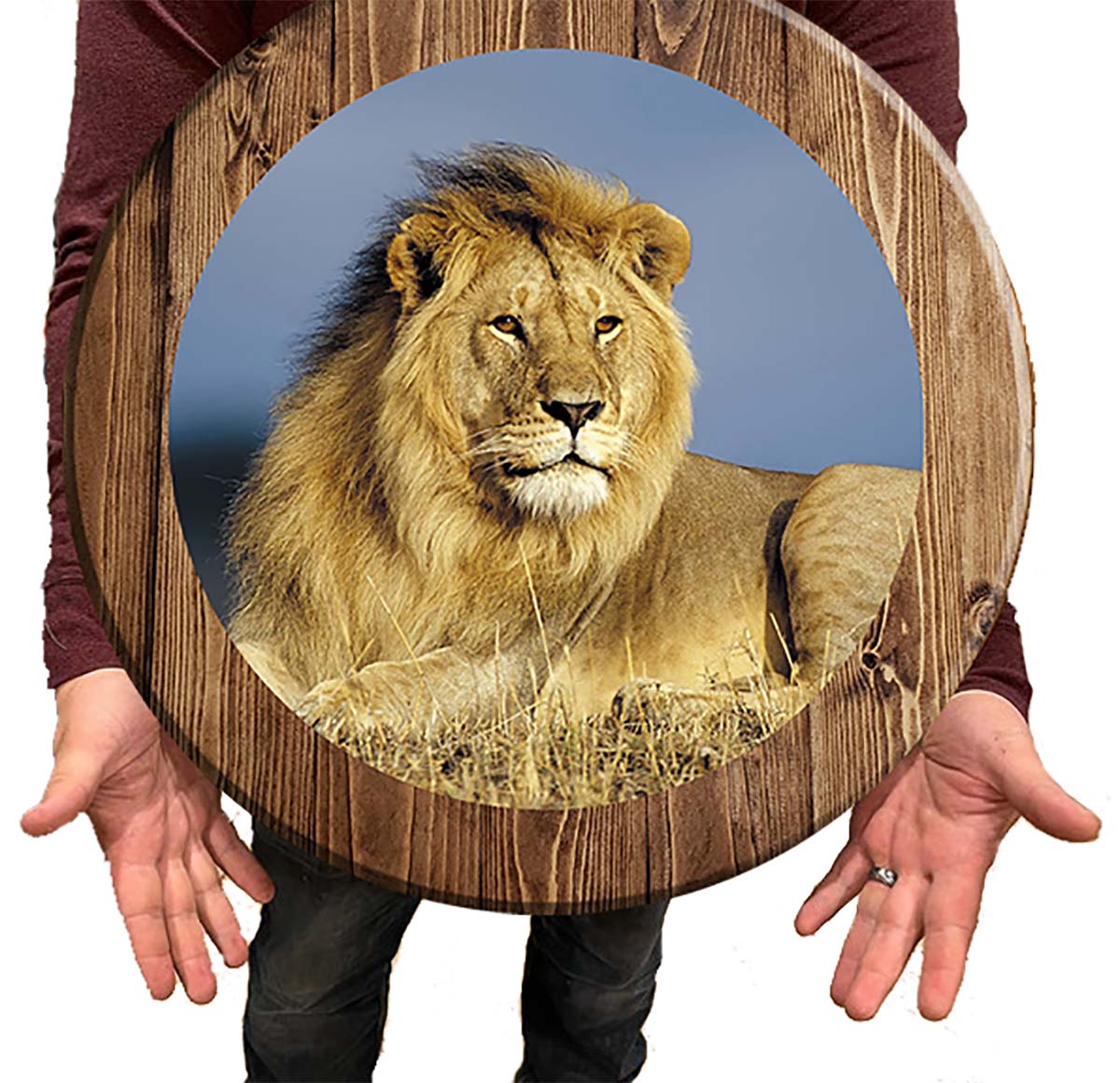 Bar Sign African Lion Safari Pub Sign 18 Inch Bar Man Cave Signs