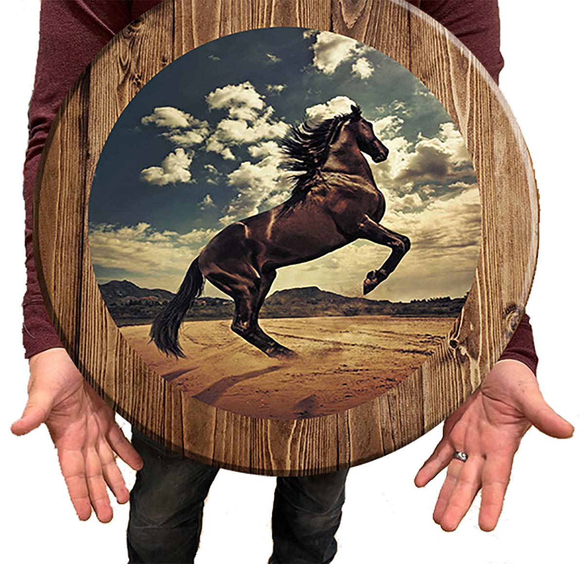 Bar Sign Stallion Horse Pub Sign 18 Inch Bar Man Cave Signs main product image
