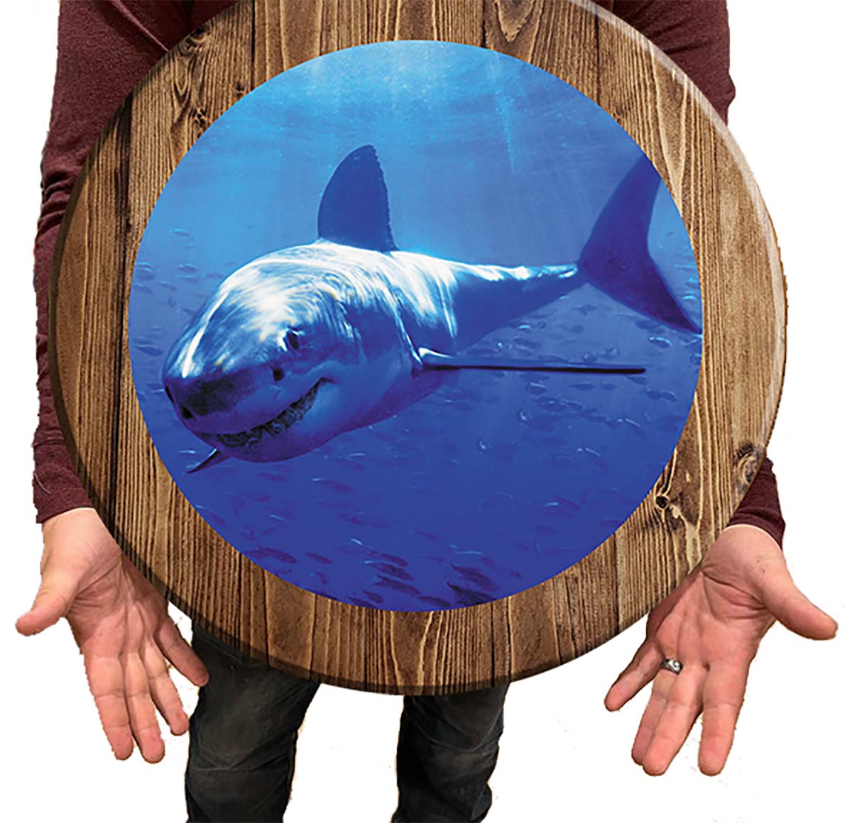 Bar Sign Great White Shark Pub Sign 18 Inch Bar Man Cave Signs