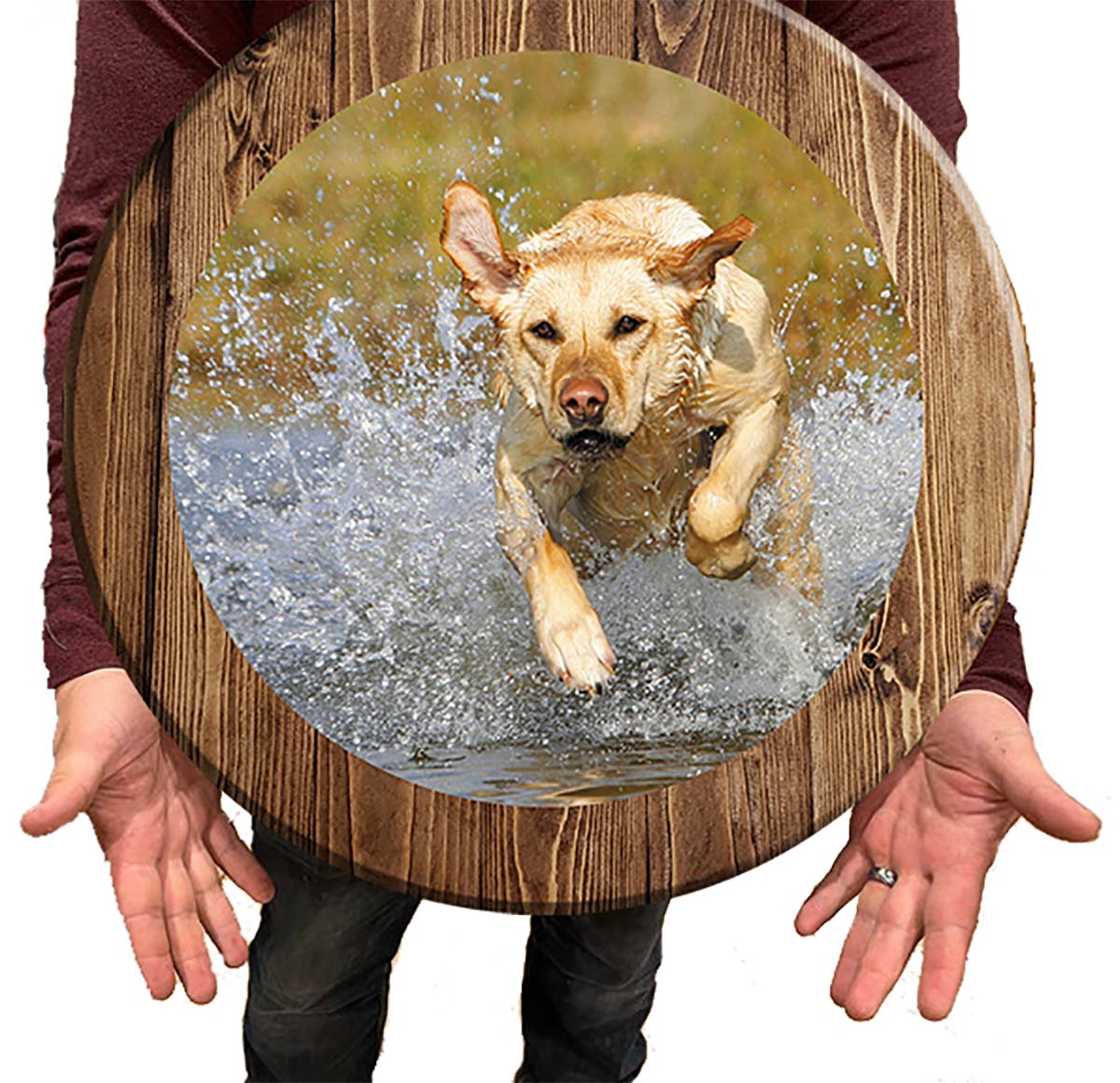 Bar Sign Golden Lab Retriever Dog Dog Sign 18 Inch Bar Man Cave Signs main product image